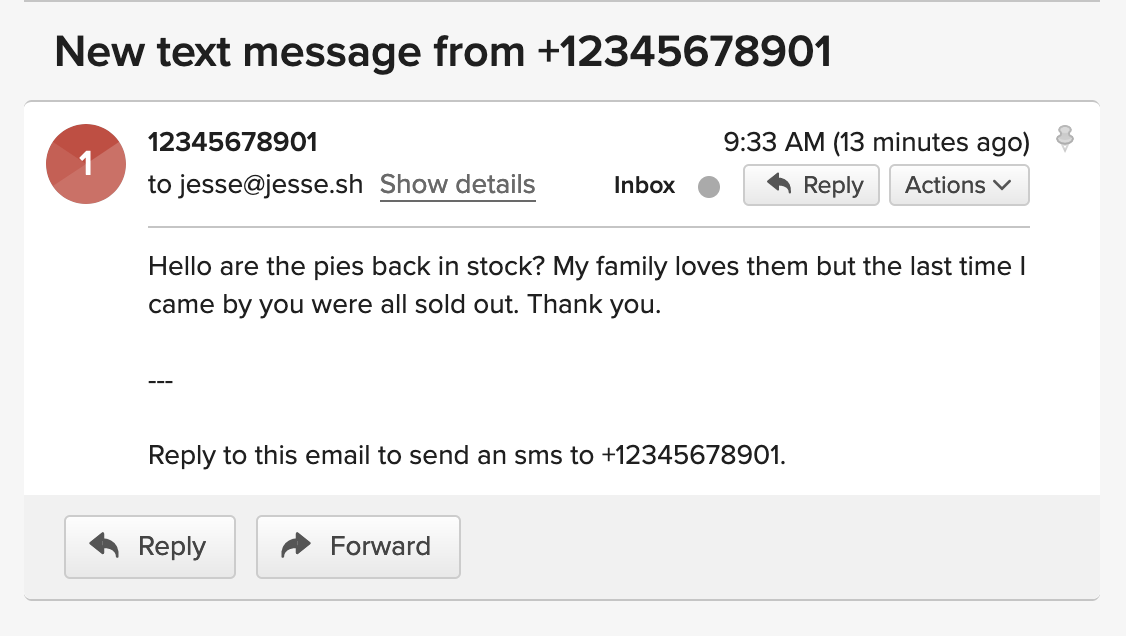 image of the email that was sent to the virtual phone number owner's email